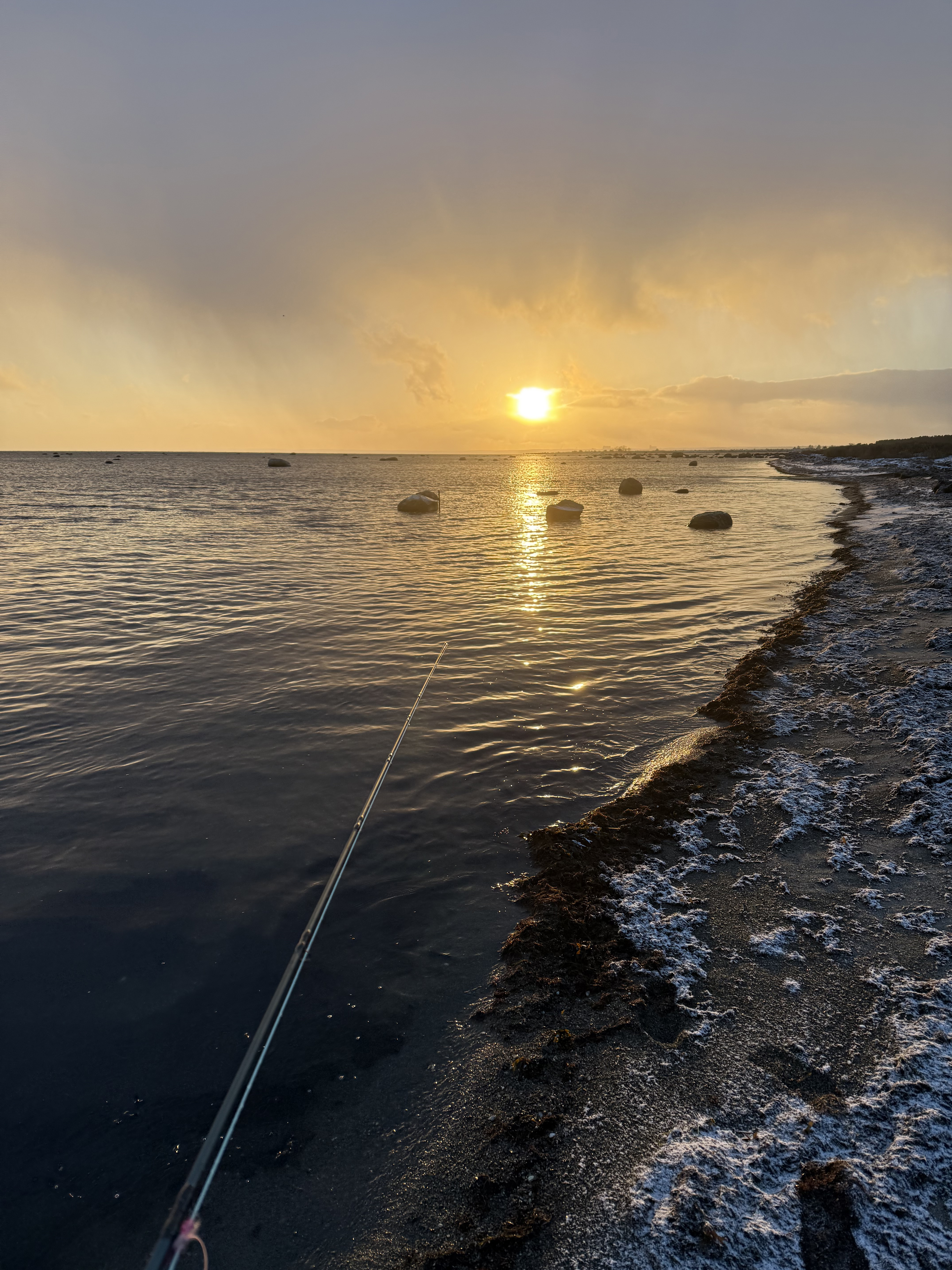 Kustfiske