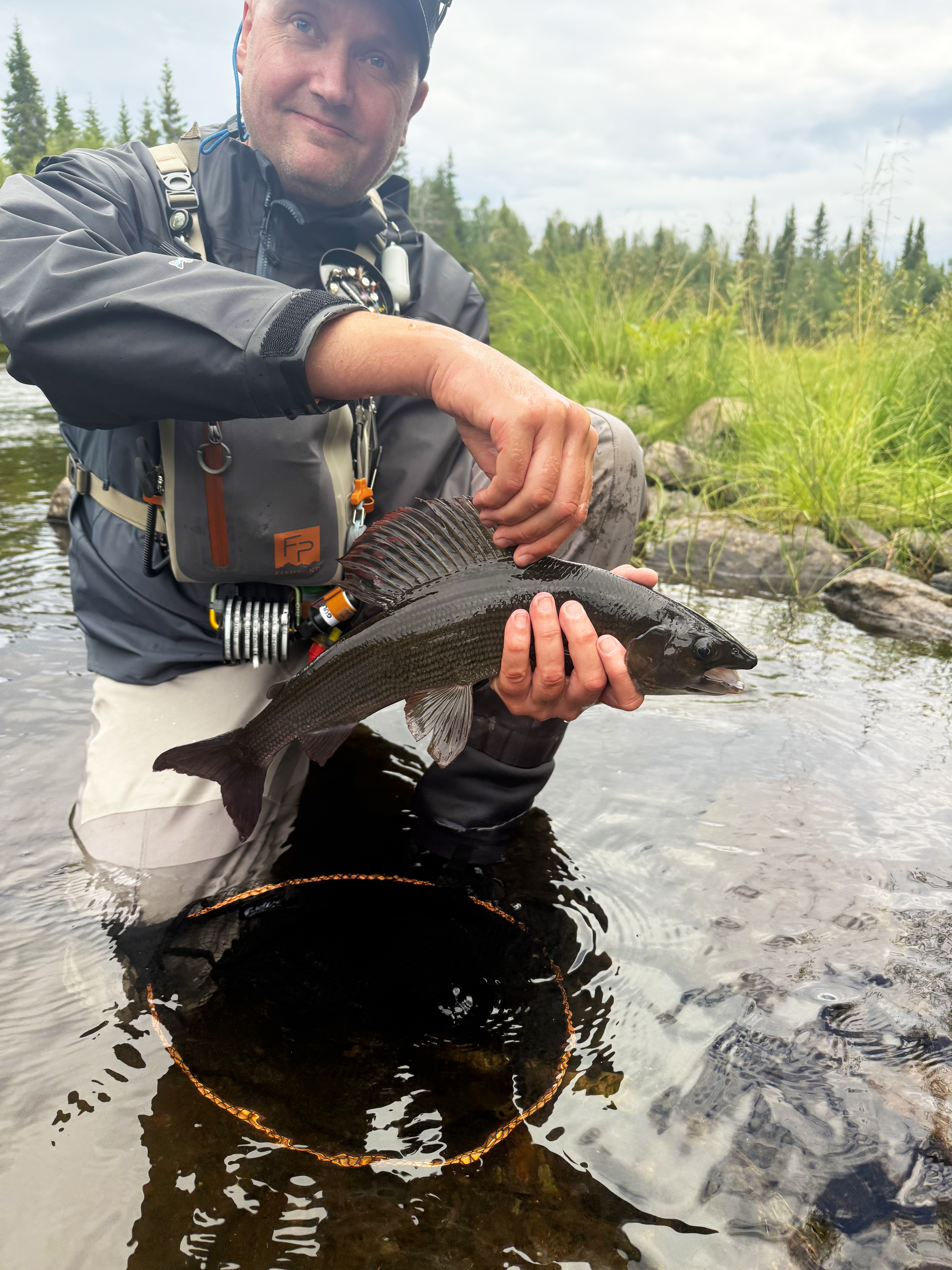 Svenska fjällen